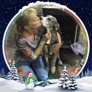 Meet your Posher, Dianne